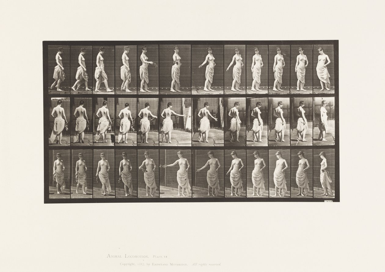 53. tábla. Séta, virágok szórása és fordulás alkotó: Eadweard Muybridge
