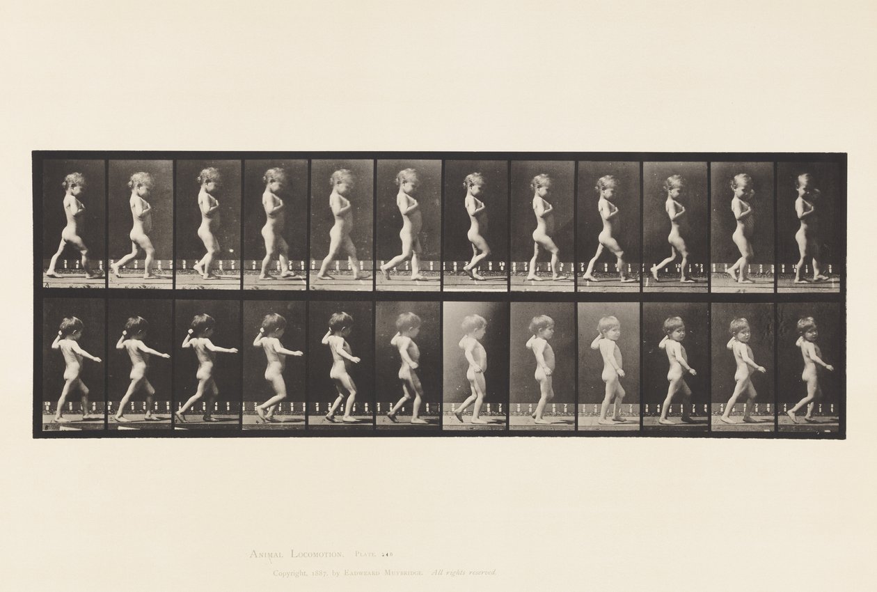 540.A tábla, íjlábak; Fiú; B, gerincszuvasodás; Sétáló lány, 1885 alkotó: Eadweard Muybridge
