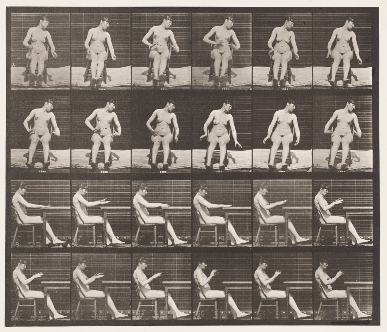 545. tábla. Mesterségesen kiváltott görcsök; A,B, Ülés közben alkotó: Eadweard Muybridge