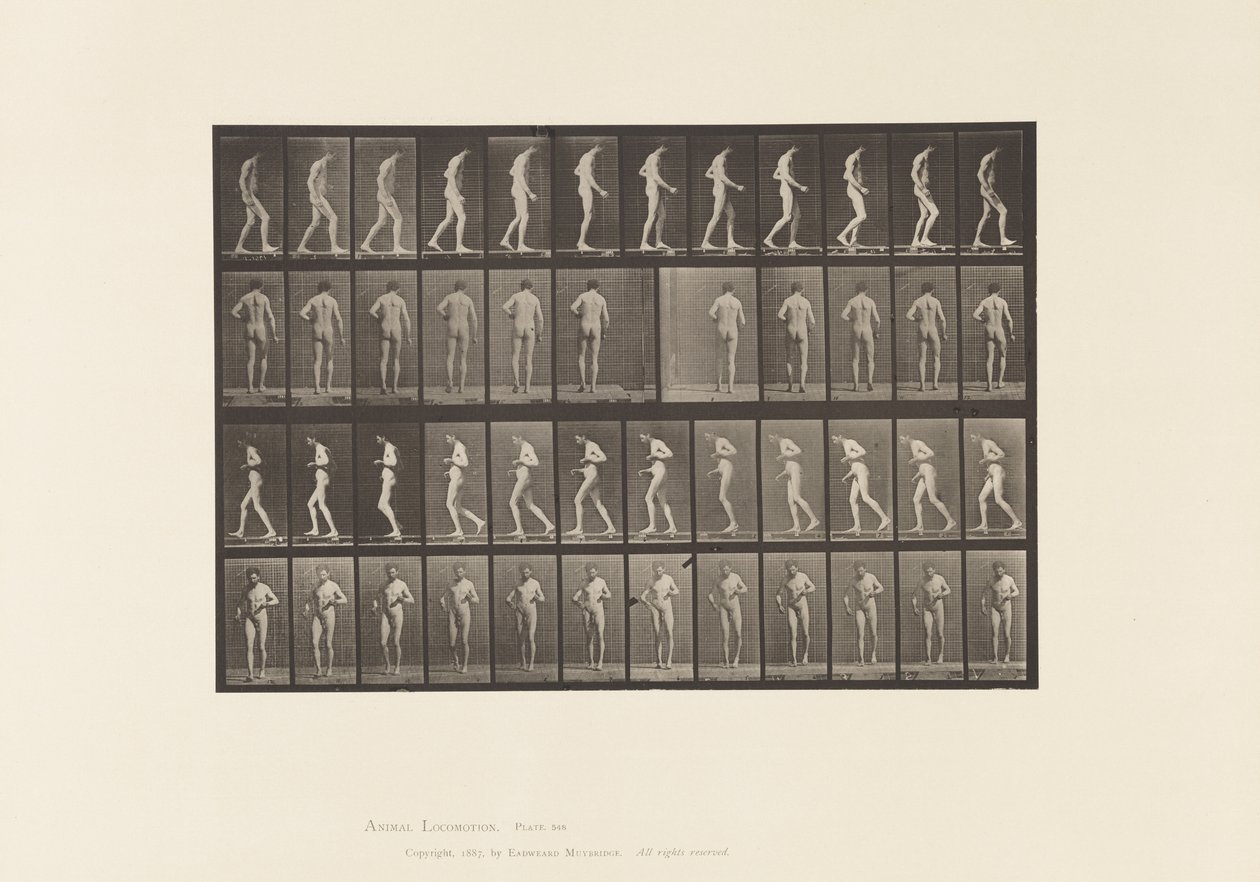 548. tábla.Laterális szklerózis; A,B, Séta, 1885 alkotó: Eadweard Muybridge
