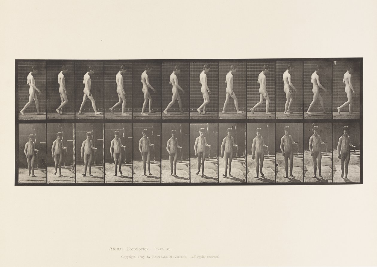 551. tábla.Epilepszia; Séta, 1885 alkotó: Eadweard Muybridge