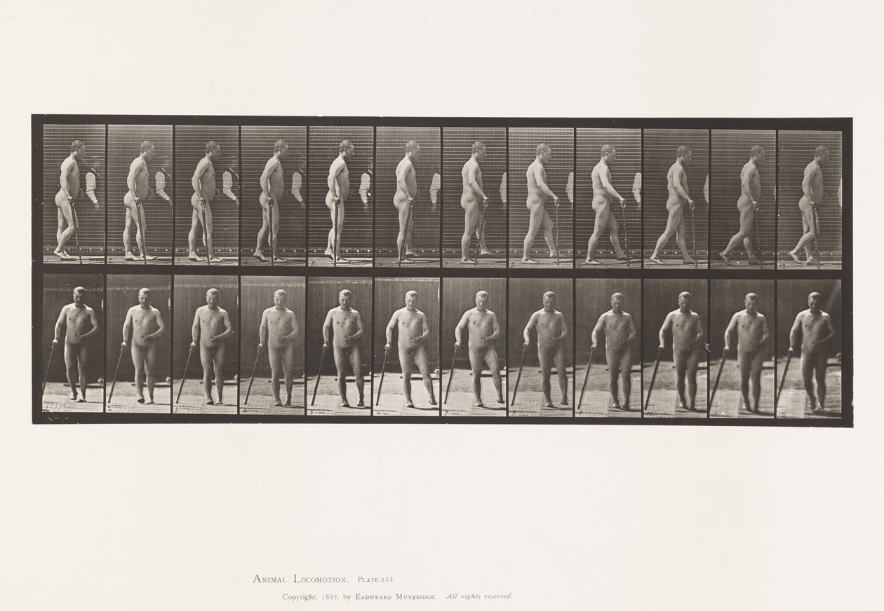 552. tábla.Hemiplegia; Séta bottal, 1885 alkotó: Eadweard Muybridge