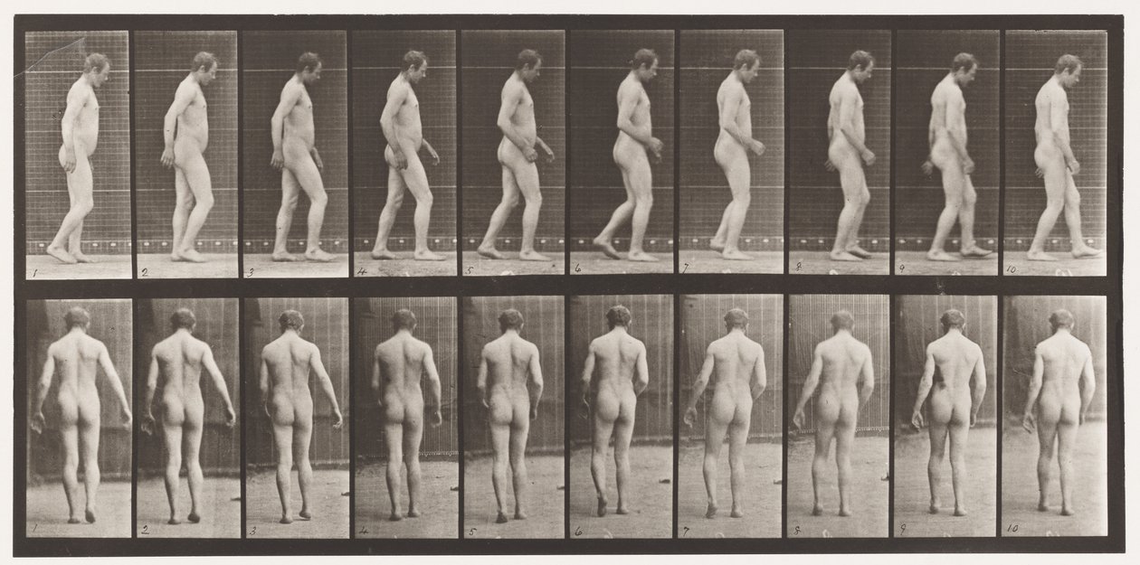 553. tábla. Fej traumája után; Séta, 1885 alkotó: Eadweard Muybridge