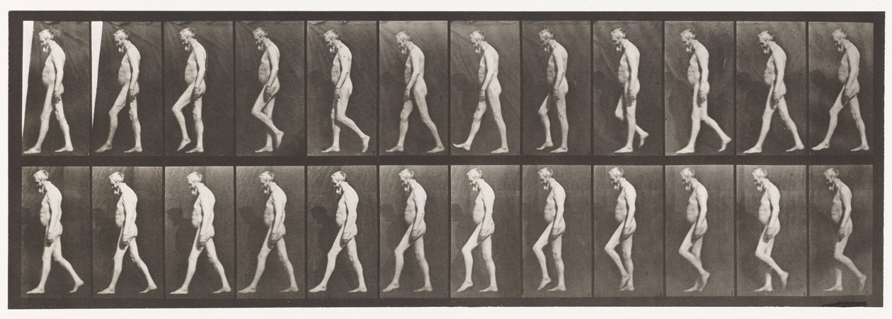 555. tábla. A lábak izomsorvadása; Felnőtt, A,B, Séta, 1885 alkotó: Eadweard Muybridge