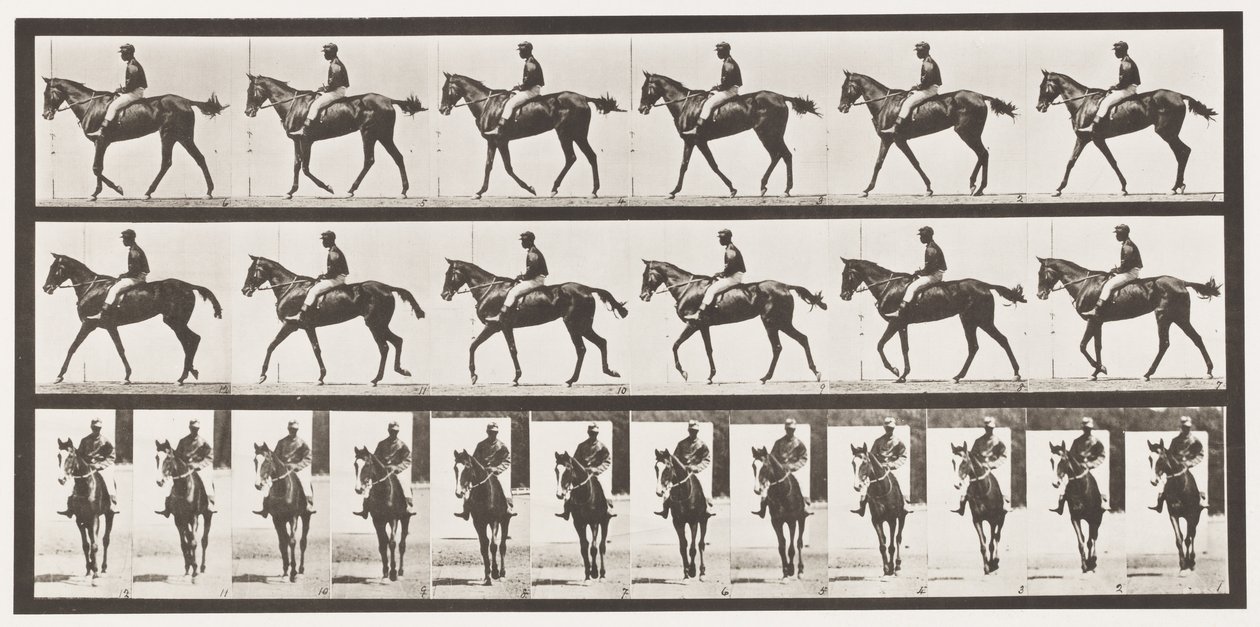 580. tábla.Séta; Nyereg; Telivér Bay Mare Annie G., 1885 alkotó: Eadweard Muybridge