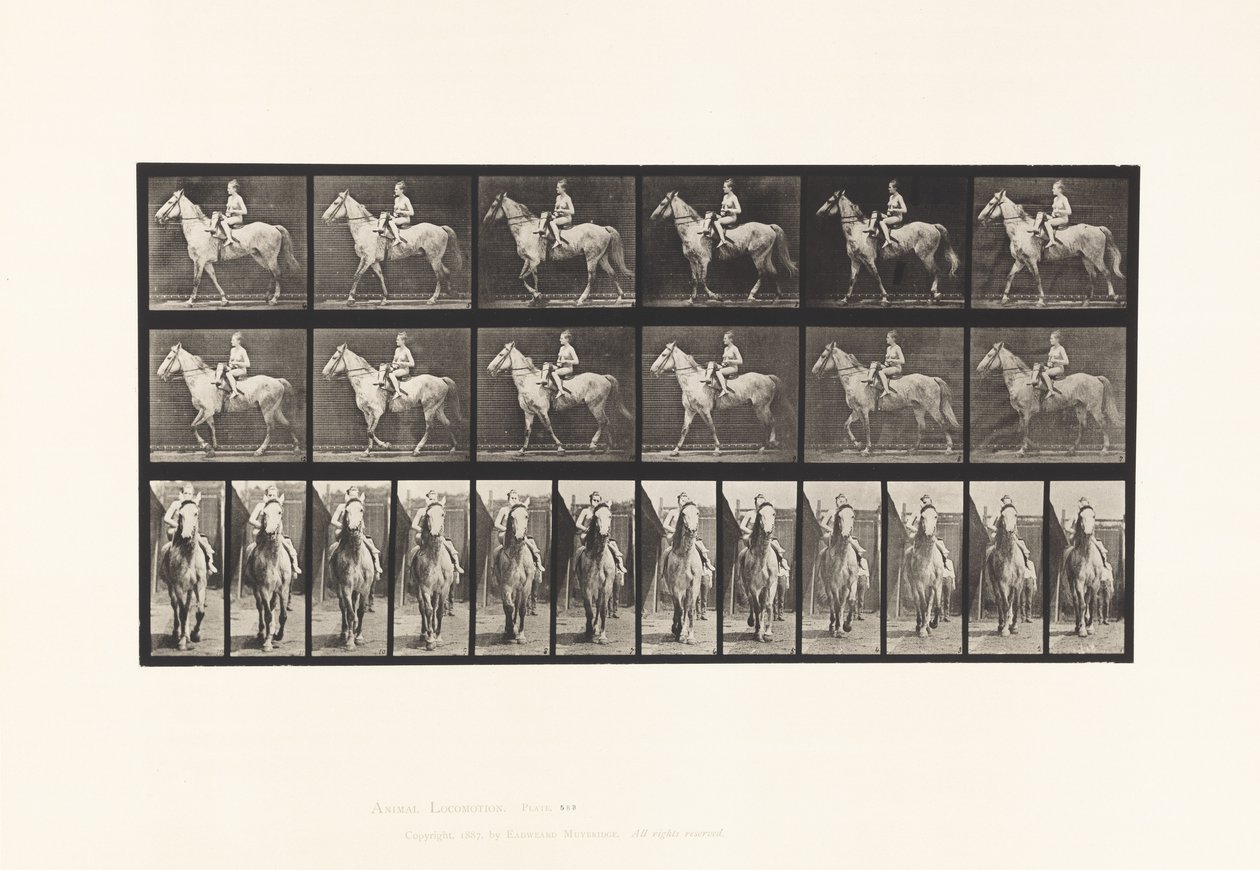583. tábla.Séta; Nyereg; női lovas; Meztelen; Szürke lóbarna, 1885 alkotó: Eadweard Muybridge