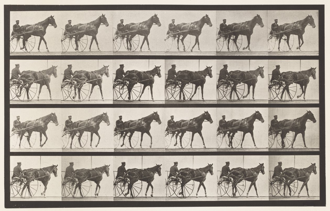 587. tábla.Séta; Duzzogó; Sóska Kanca Nellie Rose, 1885 alkotó: Eadweard Muybridge
