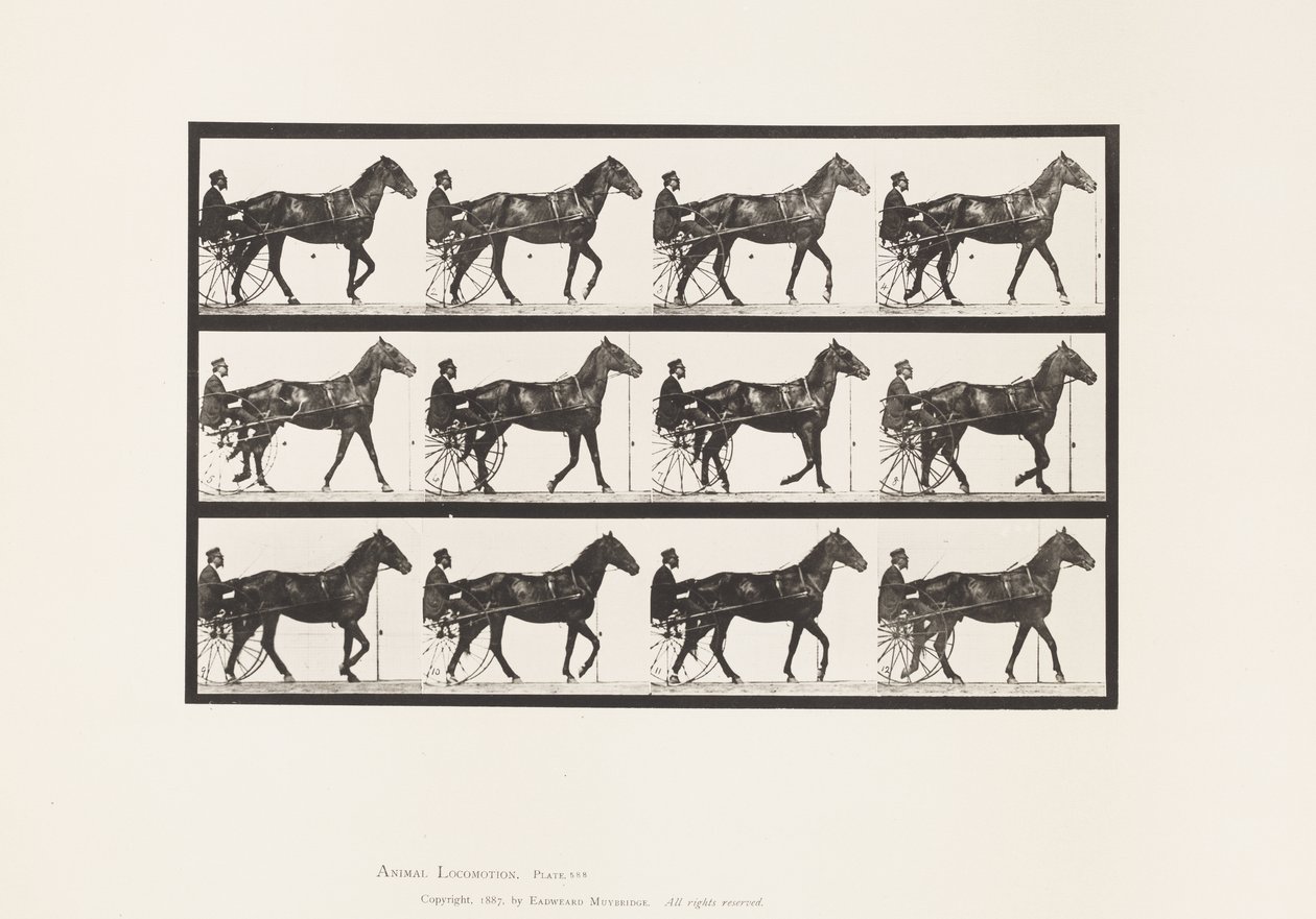 588. tábla.Séta; Duzzogó; Bay Horse Reuben, 1885 alkotó: Eadweard Muybridge