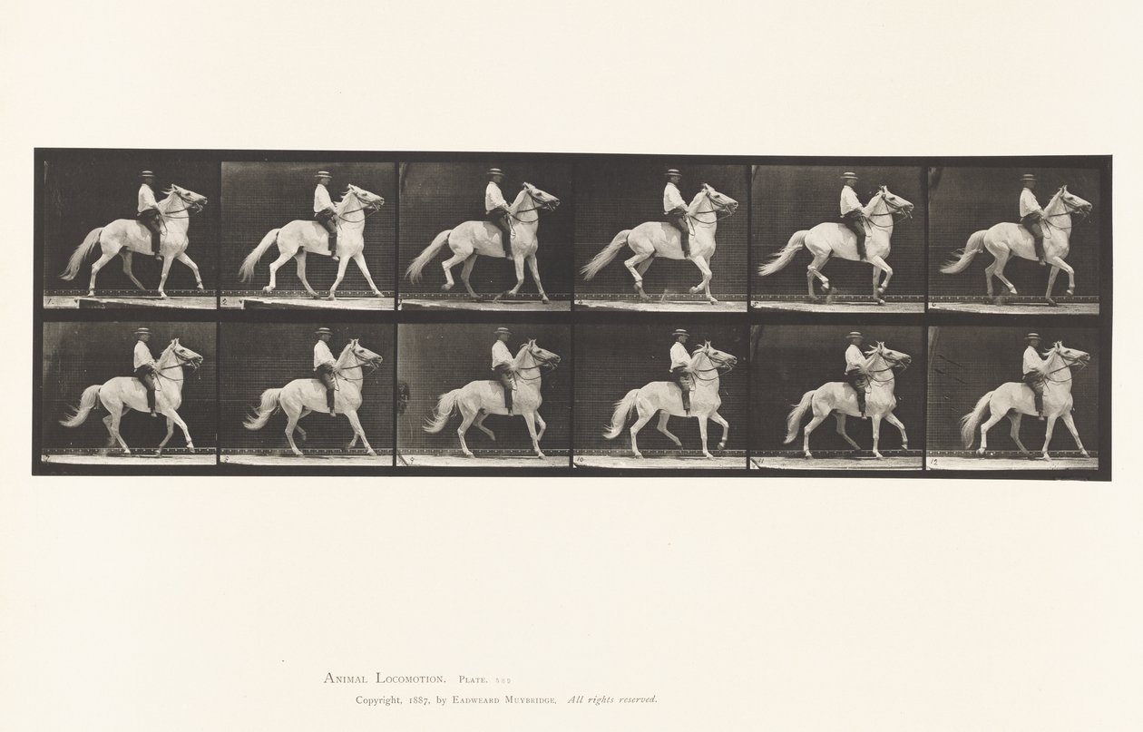 tábla 589.Ambling alkotó: Eadweard Muybridge