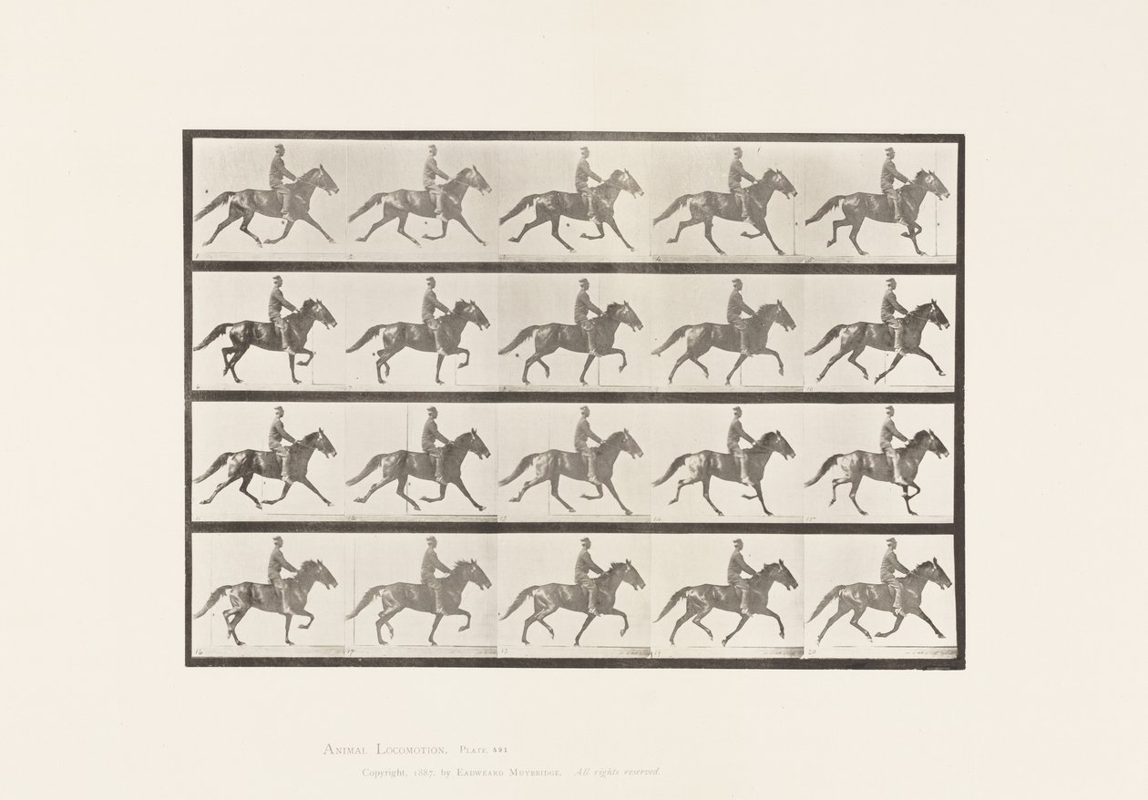 Tányér 591.Ringató alkotó: Eadweard Muybridge