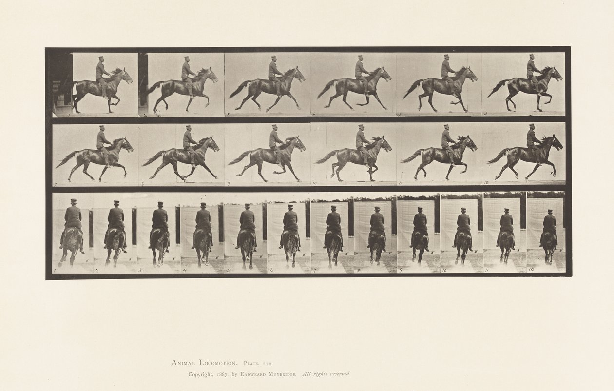 592. tányér. Ringató (Pacing): Nyereg; Brown Horse Pronto alkotó: Eadweard Muybridge