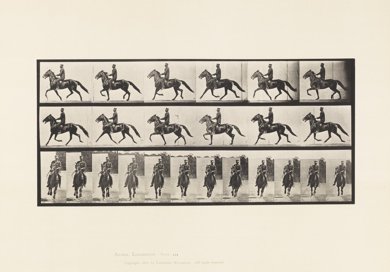593. tányér. Ringató (Pacing): Nyereg; Brown Horse Pronto alkotó: Eadweard Muybridge