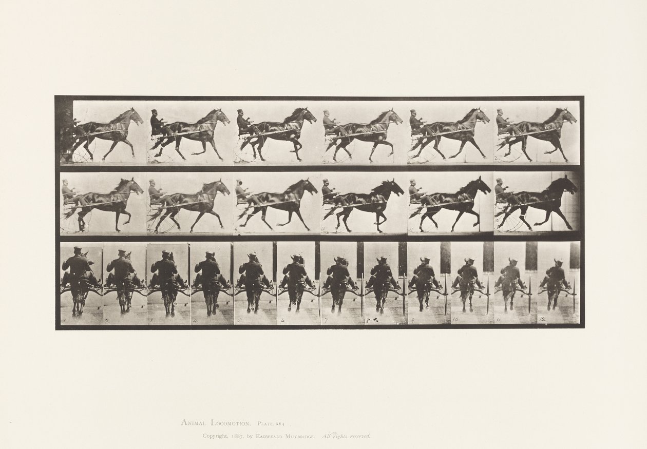 594. tányér. Ringató (Pacing): Sulky; Brown Horse Pronto alkotó: Eadweard Muybridge