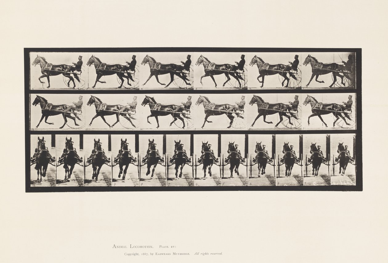 595. tányér. Ringató (Pacing): Sulky; Brown Horse Pronto alkotó: Eadweard Muybridge