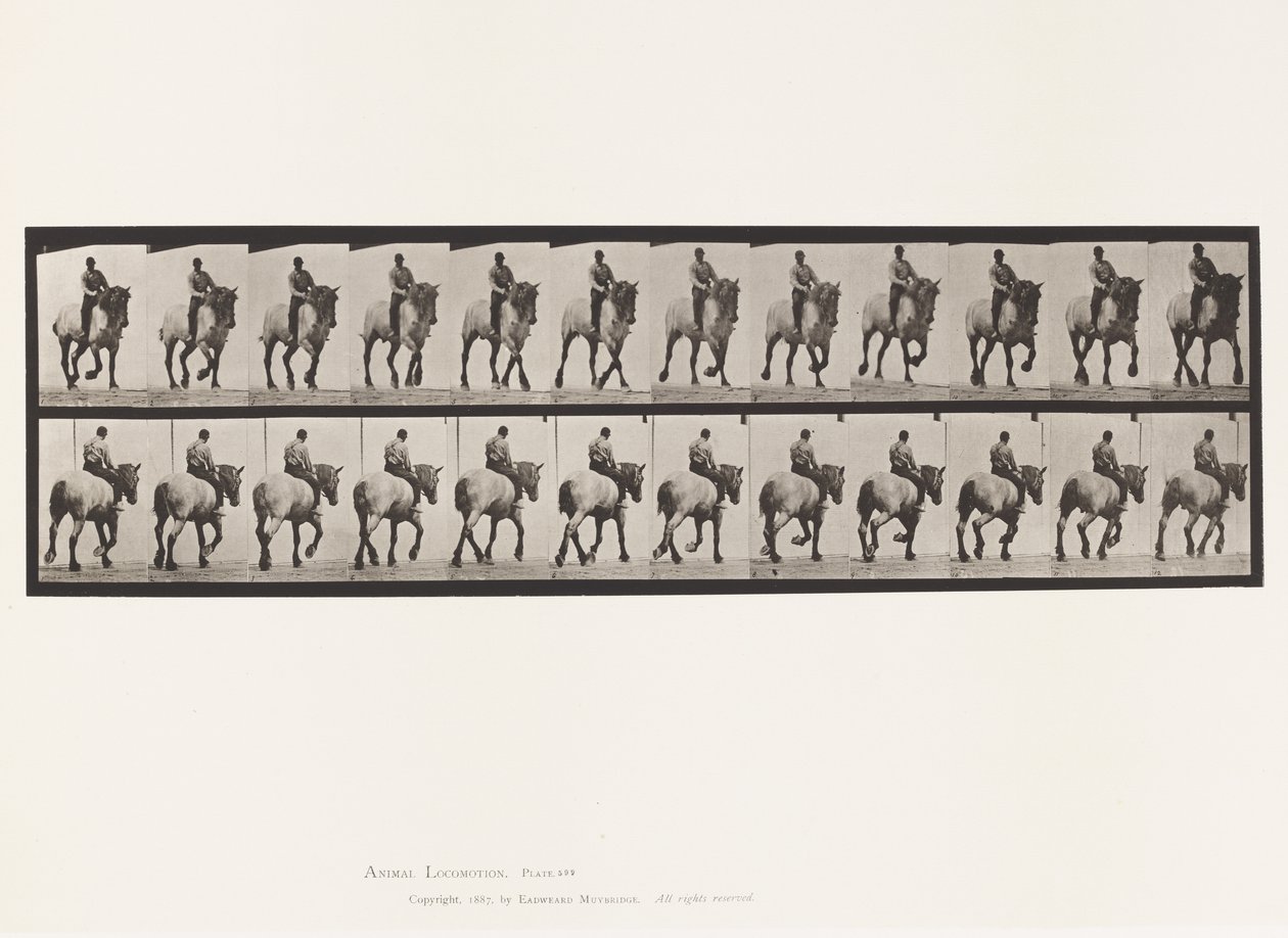 Tányér 599. Ügető; Csupasz hátú; Sötétszürke Dusel alkotó: Eadweard Muybridge