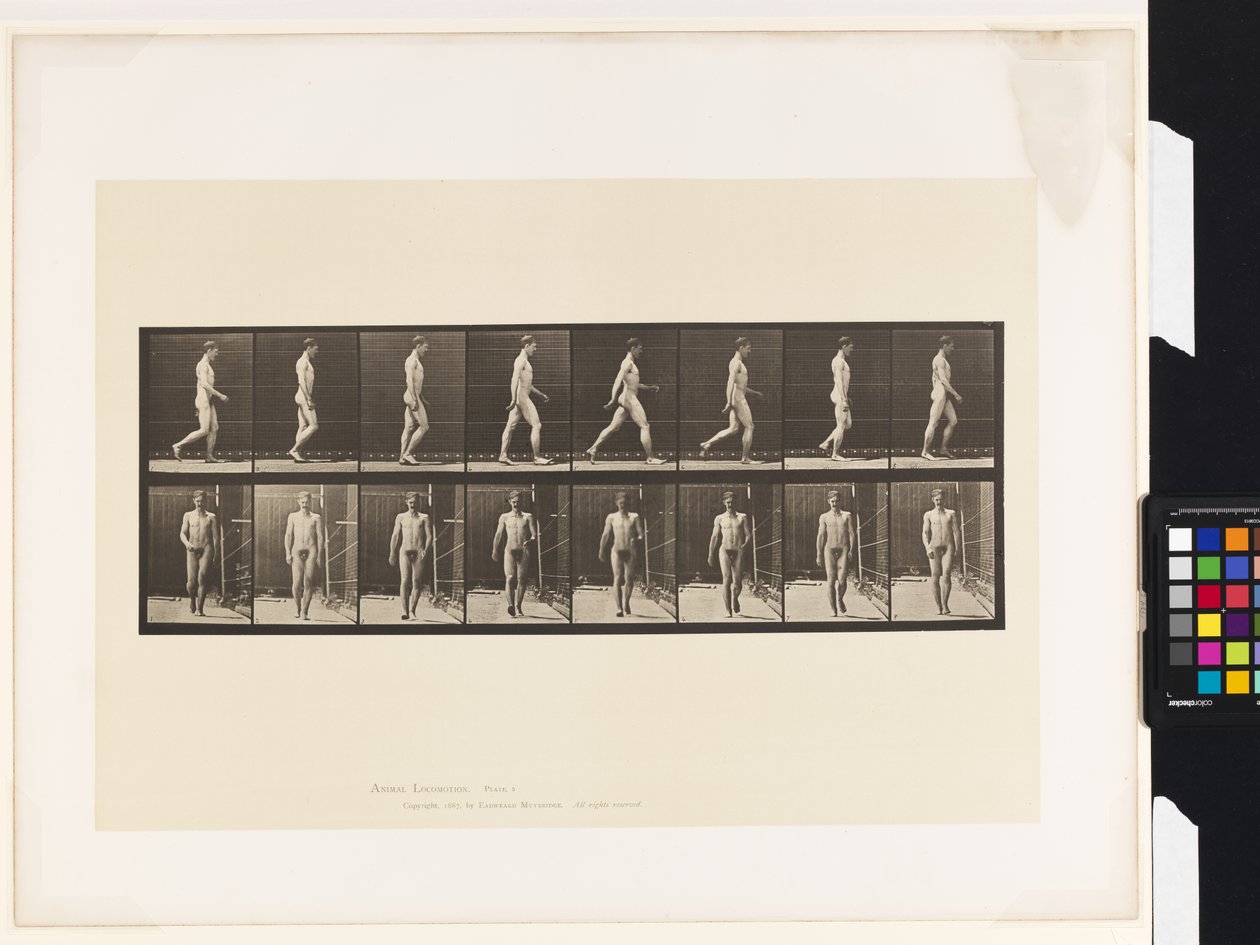 5. tányér.Séta alkotó: Eadweard Muybridge