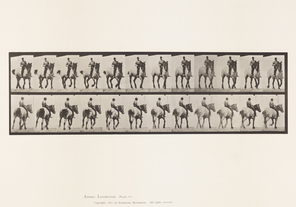 Tányér 600. Ügető; Csupasz hátú; Sötétszürke Dusel alkotó: Eadweard Muybridge