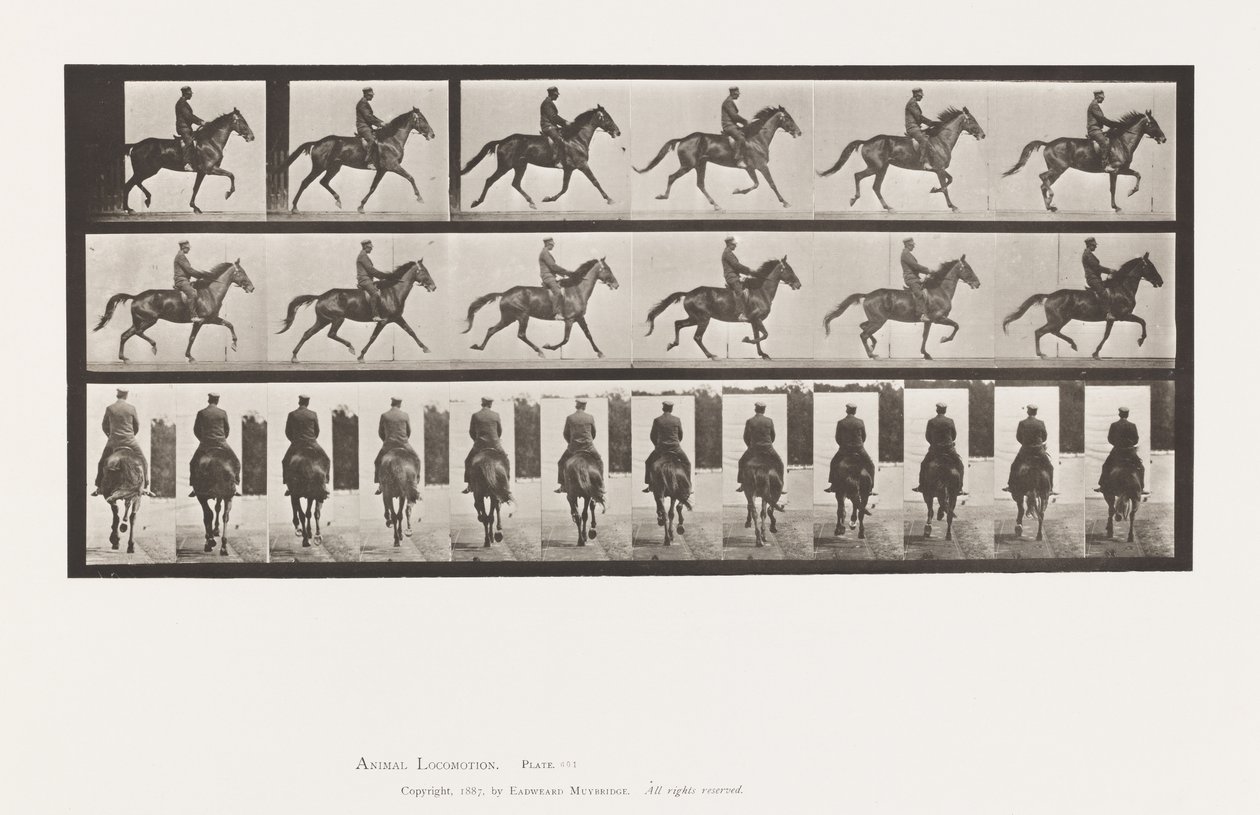 Tányér 601. Ügető; Nyereg; Barna Kanca szépség alkotó: Eadweard Muybridge