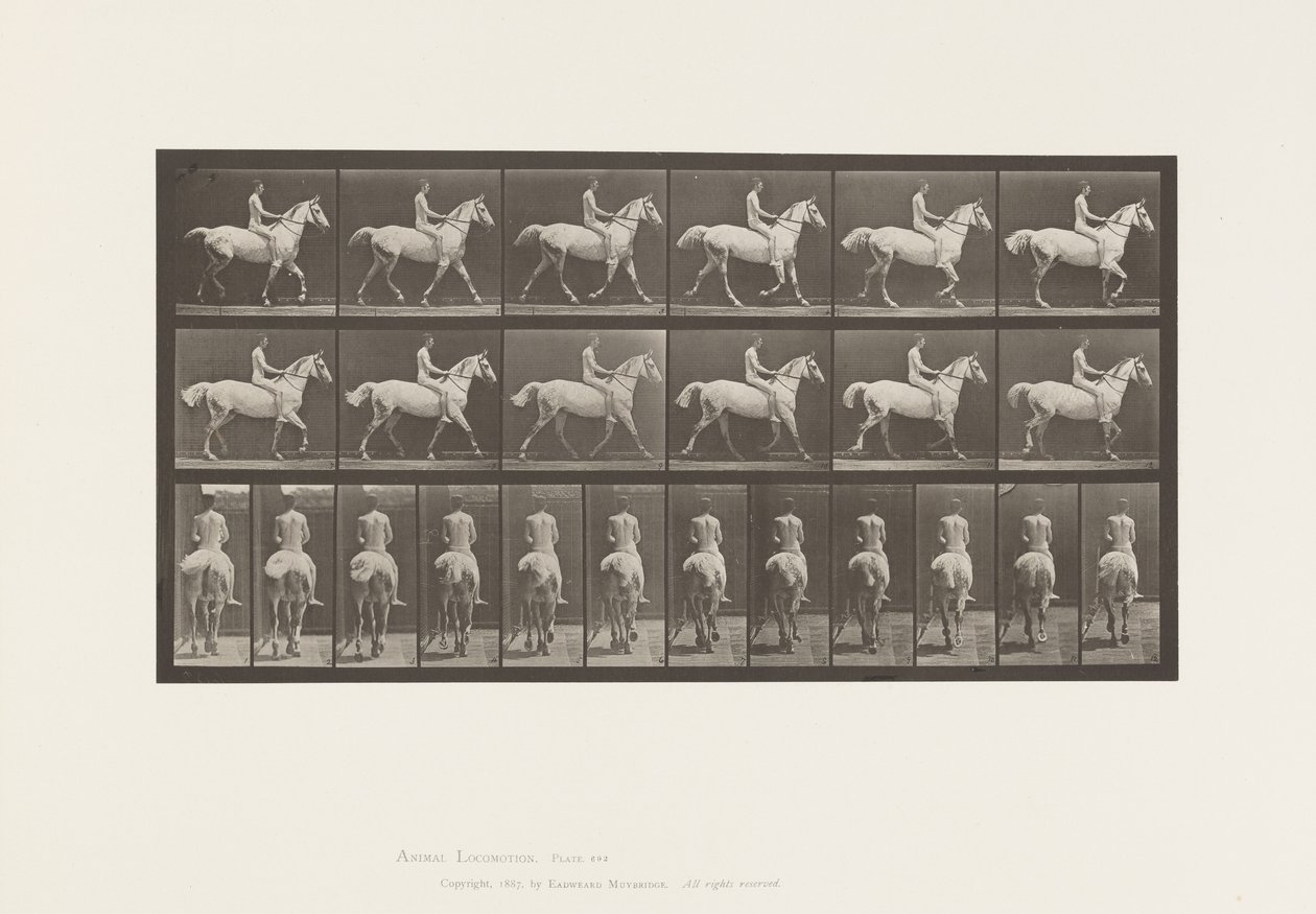 602. tányér.Ügető;Mezíthátú; Lovas, 43, akt; Világosszürke Horse Smith, 1885 alkotó: Eadweard Muybridge