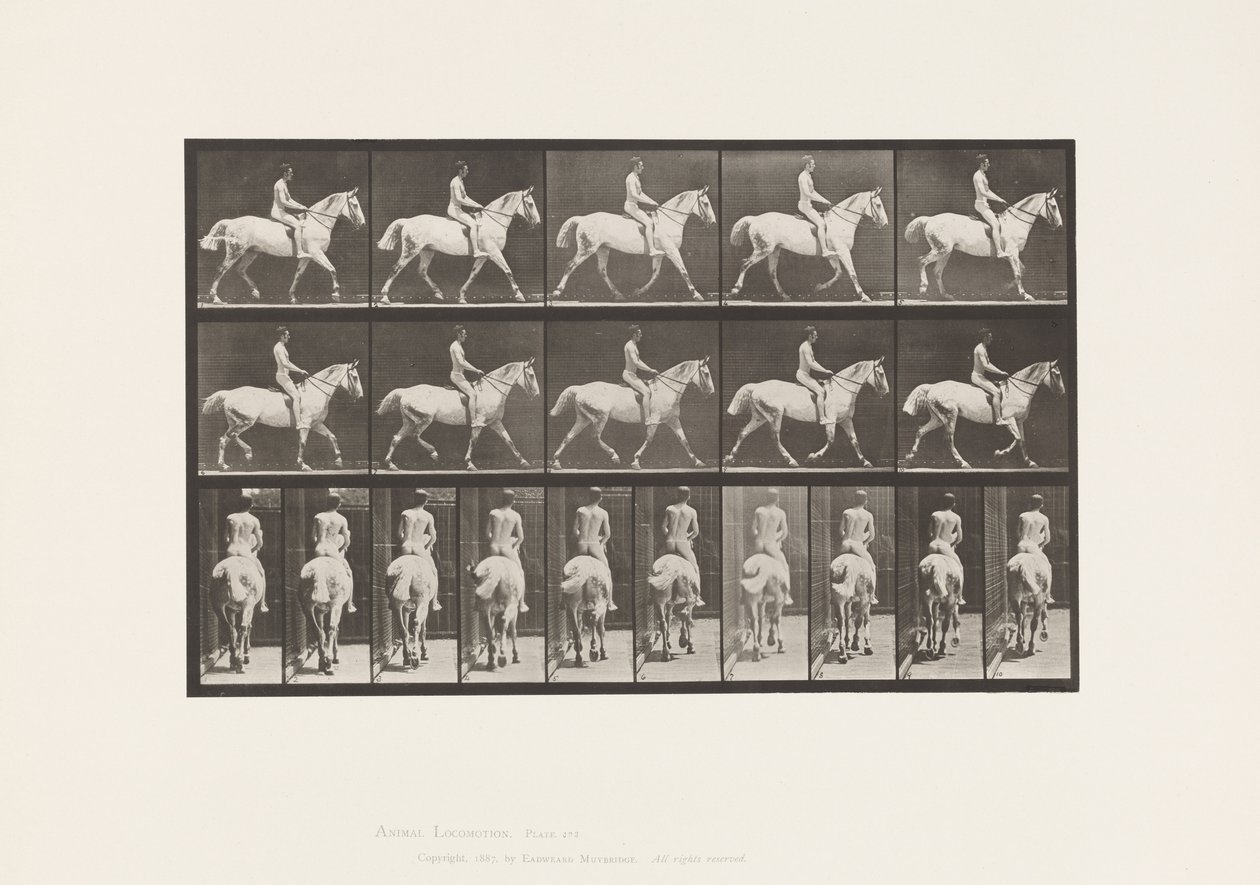 Tányér 603. Ügető; Nyereg; Ride, 43, széles, világosszürke Horse Smith alkotó: Eadweard Muybridge