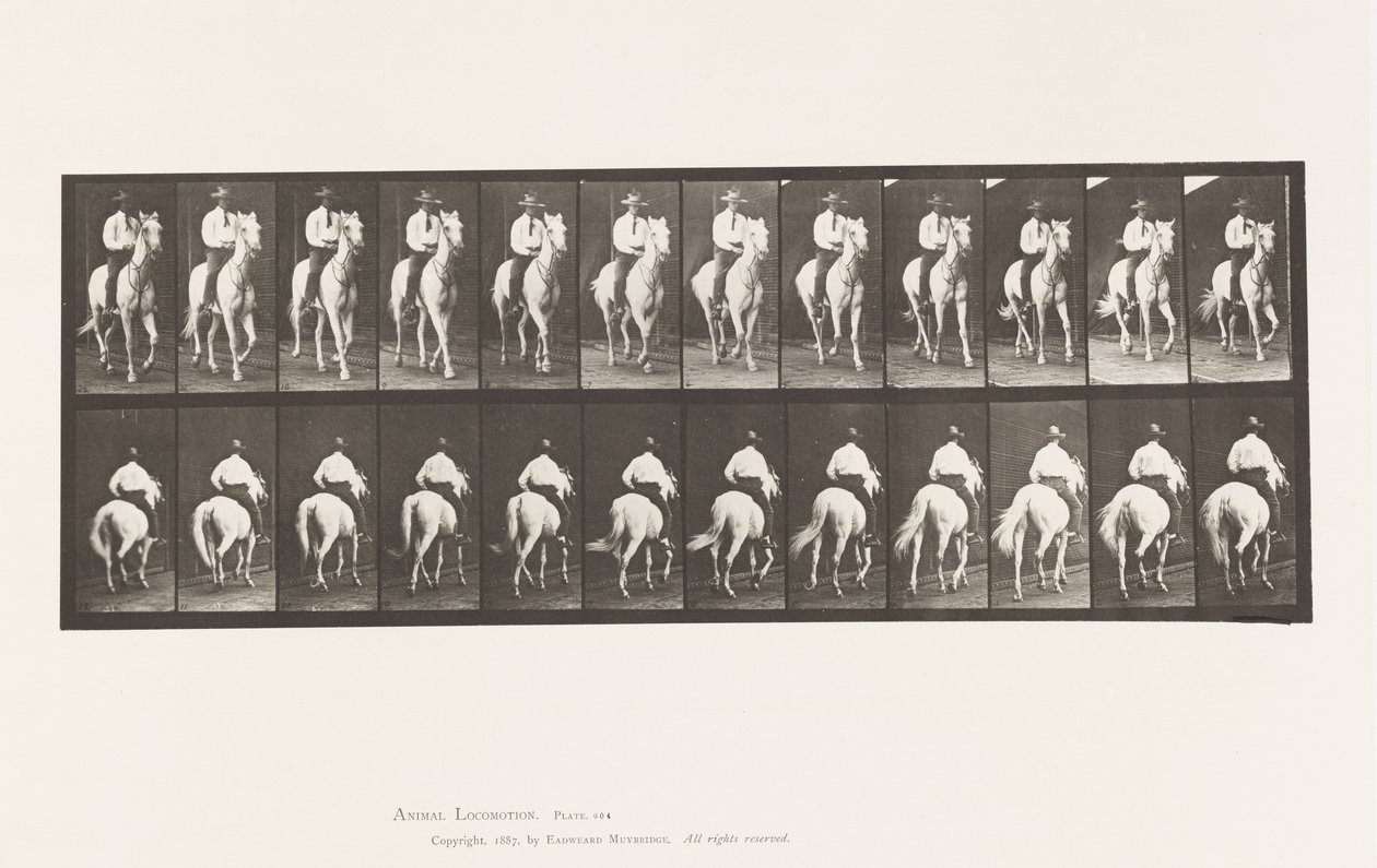 Tányér 604. Ügető; Nyereg; Fehér Ló, Elberon alkotó: Eadweard Muybridge