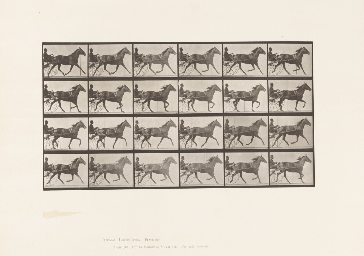 Tányér 607. Ügető; Duzzogó; Bay Mare, Lizzie M. alkotó: Eadweard Muybridge