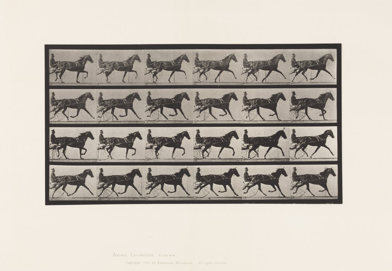 tányér 608. Ügető; Duzzogó; Sarrel Mare, Flode Holden alkotó: Eadweard Muybridge