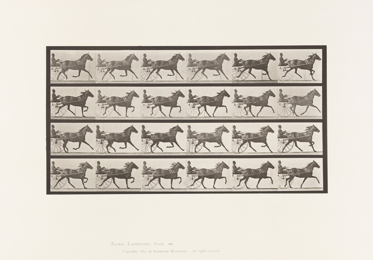 Tányér 609. Ügető; Duzzogó; Bay Mare, Lizzie M. alkotó: Eadweard Muybridge