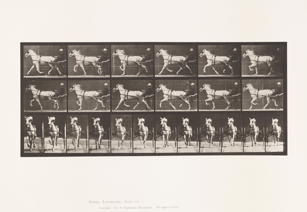 Tányér 610. Ügető; Duzzogó; Szürke Kanca, Katydid alkotó: Eadweard Muybridge