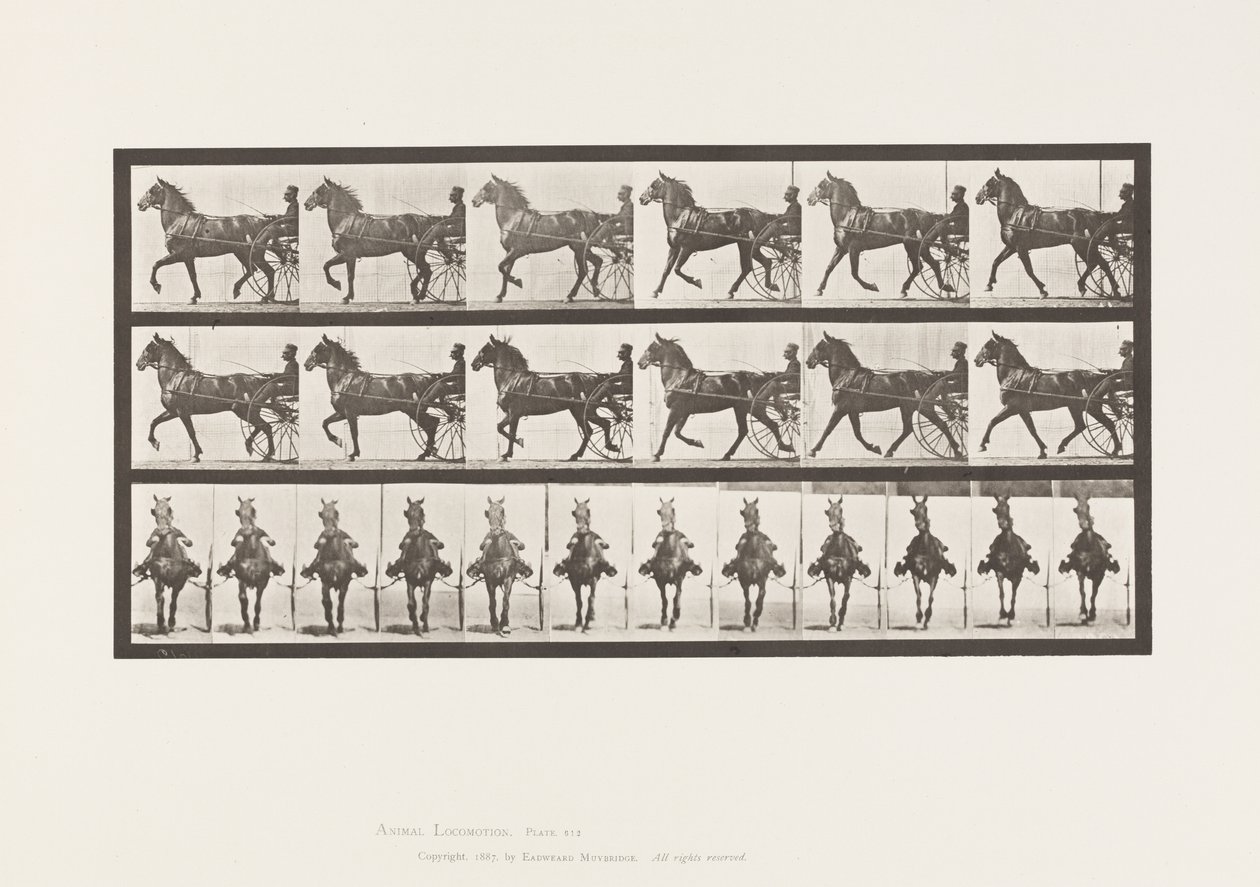 tábla 612. Ügető; Duzzogó; Bay Horse, Dereumd alkotó: Eadweard Muybridge