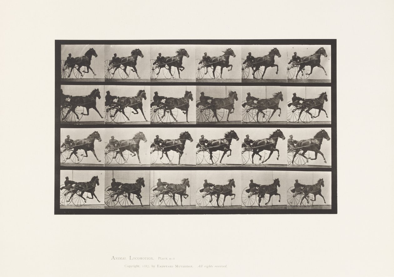 tábla 613. Ügető; Duzzogó; Sóska Kanca Nellie Rose alkotó: Eadweard Muybridge