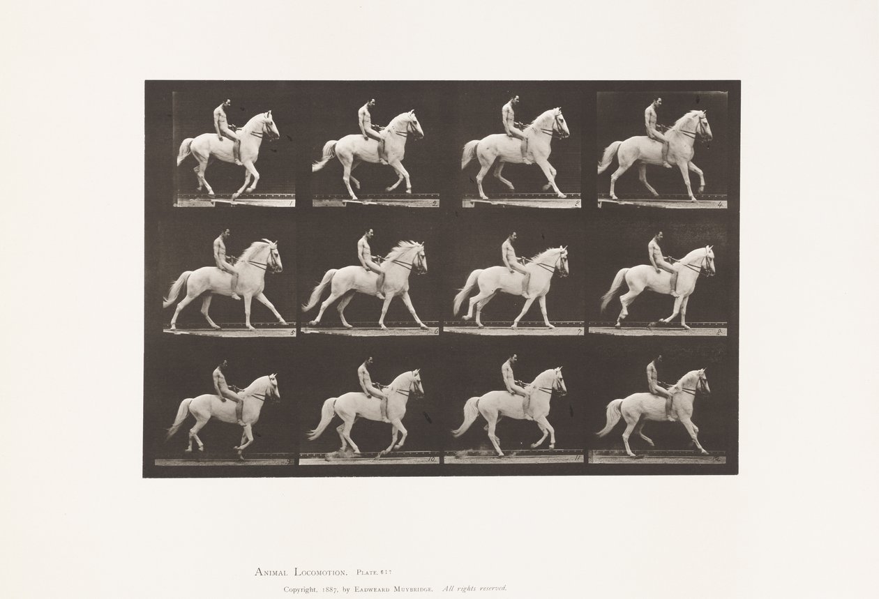 tábla 617. Canter; Csupasz hátú; Rider, 106, meztelen; fehér ló, Clinton, 1885 alkotó: Eadweard Muybridge