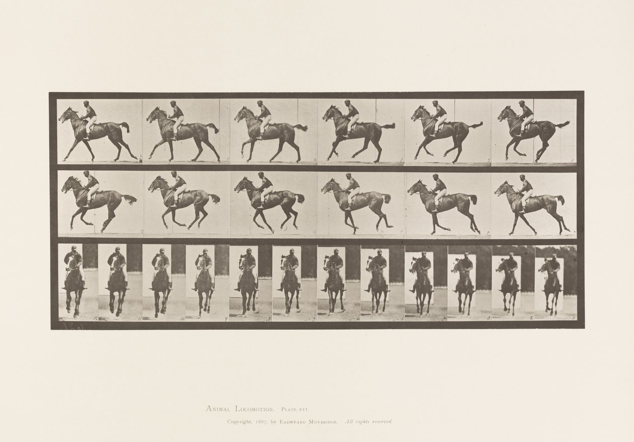 tábla 621. Canter; Nyereg; Telivér Bay Mare Annie 6 alkotó: Eadweard Muybridge