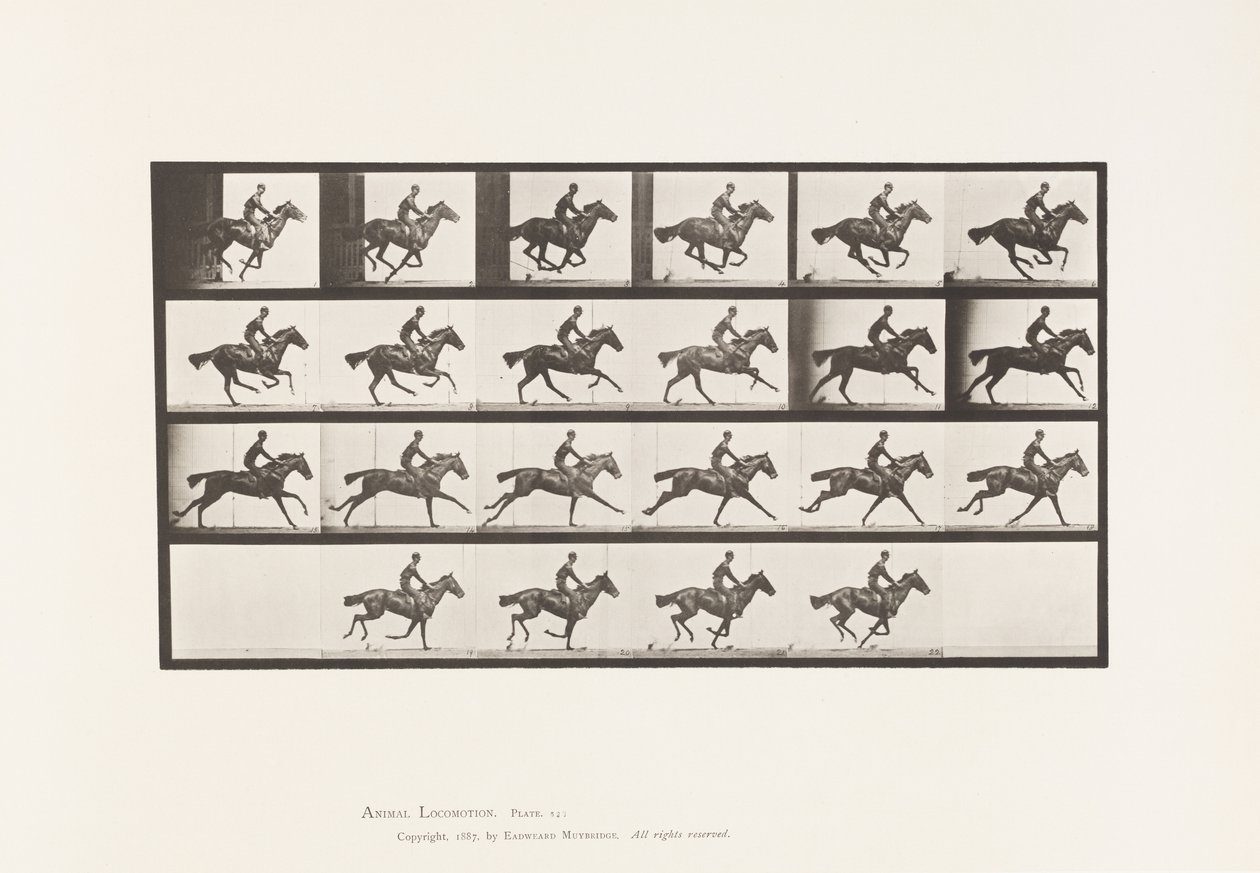 tábla 625. Vágta; Telivér öböl ló csokor alkotó: Eadweard Muybridge