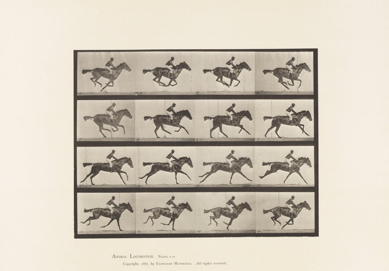tábla 626. Vágta; Telivér Bay Mare Annie G. alkotó: Eadweard Muybridge