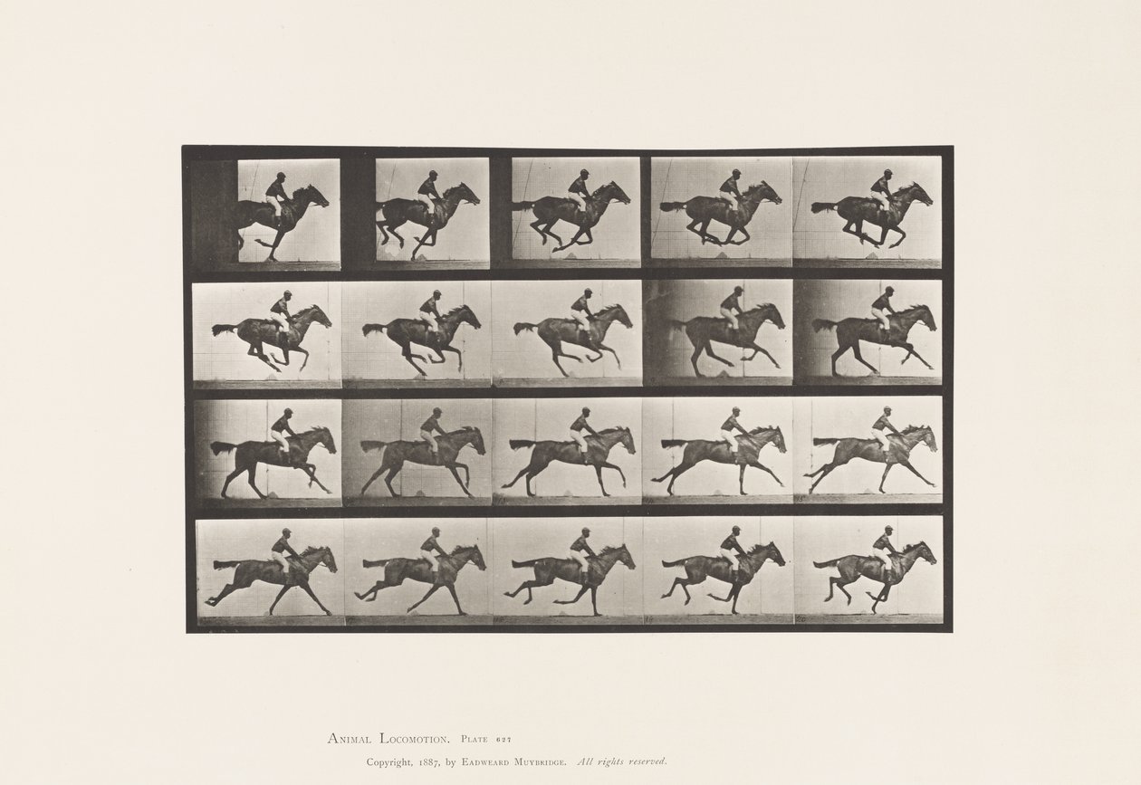 tábla 627. Vágta; Telivér Bay Mare Annie G. alkotó: Eadweard Muybridge