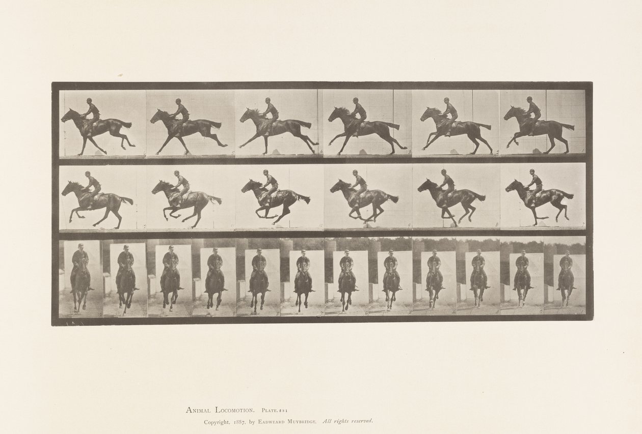 tábla 631. Vágta; Nyereg; Telivér öböl ló csokor alkotó: Eadweard Muybridge