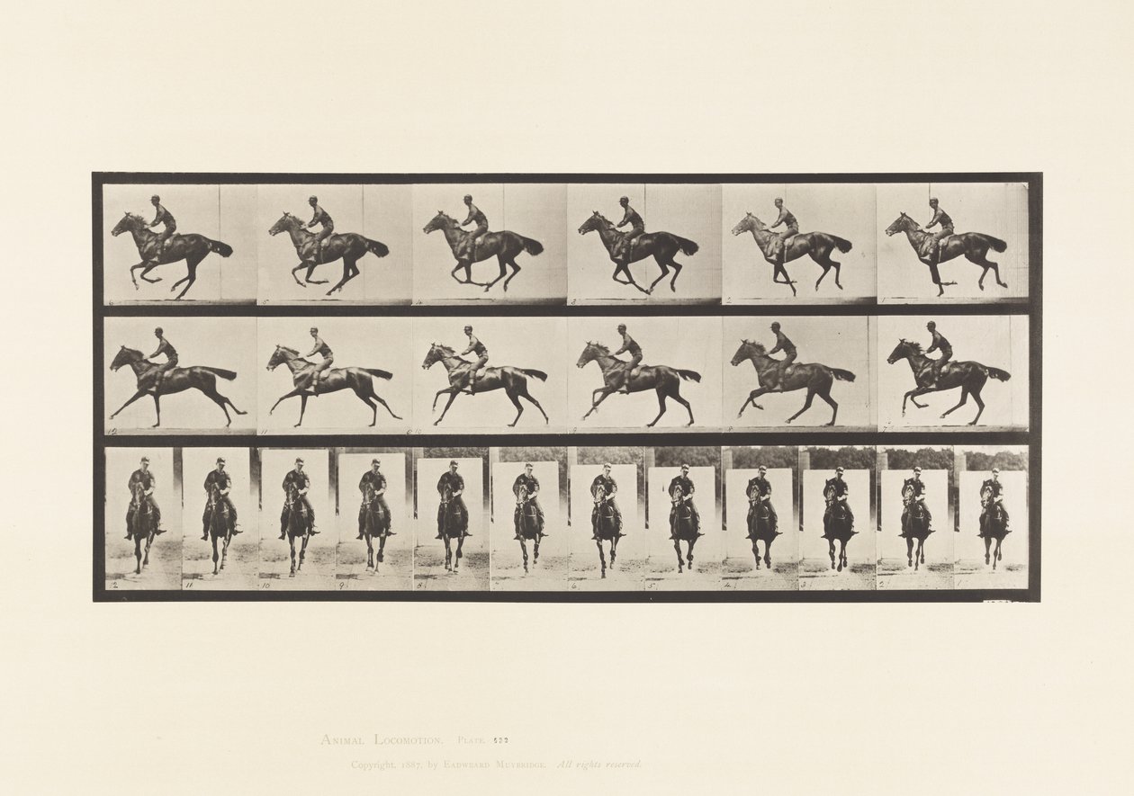 tábla 632. Vágta; Nyereg; Telivér öböl ló csokor alkotó: Eadweard Muybridge