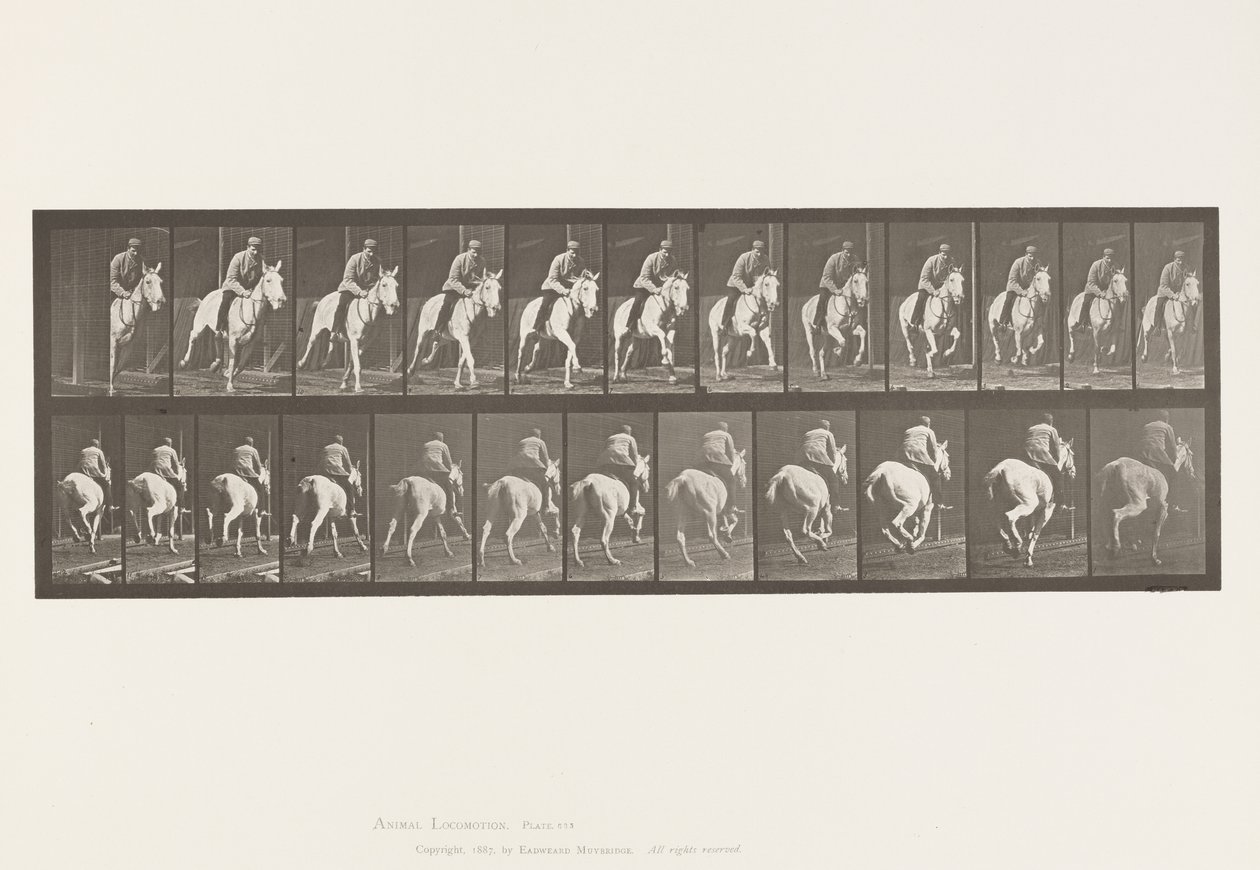 tábla 635. Vágta; Nyereg; Szürke Kanca, Pandora alkotó: Eadweard Muybridge