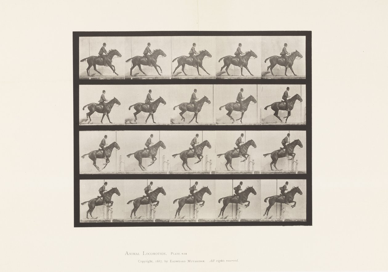 636. tábla Gátugrás; Nyereg; Felkészülés az ugrásra alkotó: Eadweard Muybridge