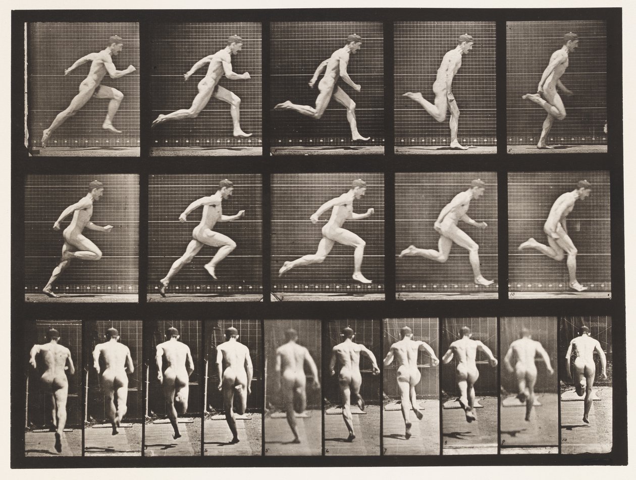 63. tábla. Teljes sebességgel fut. alkotó: Eadweard Muybridge