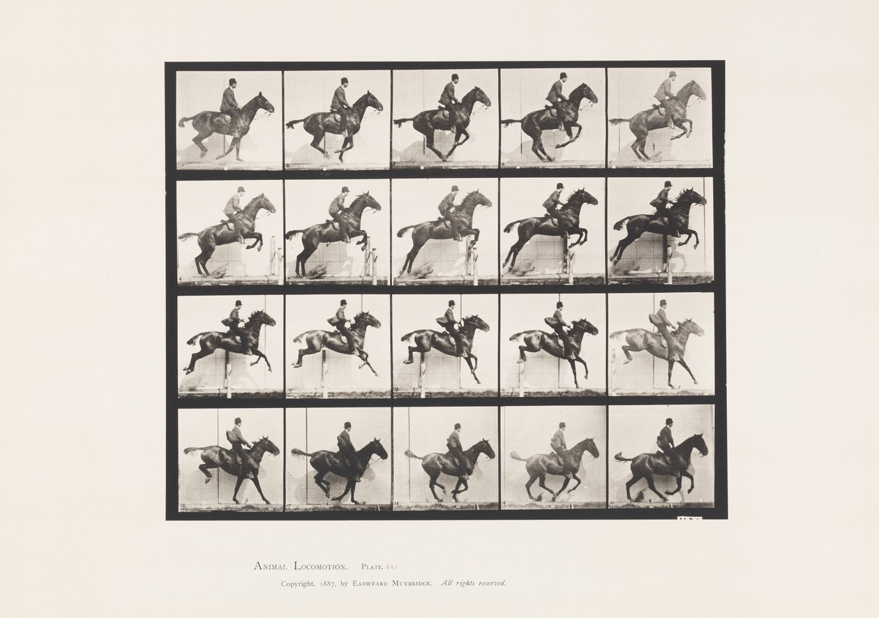640. tábla Gátugrás; Nyereg; Bay Horse Daisy alkotó: Eadweard Muybridge
