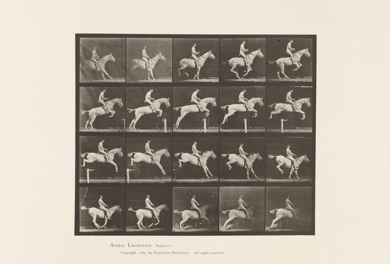 642. tábla Gátugrás; Nyereg; Rider, 105, akt; Szürke Kanca, 1885 alkotó: Eadweard Muybridge