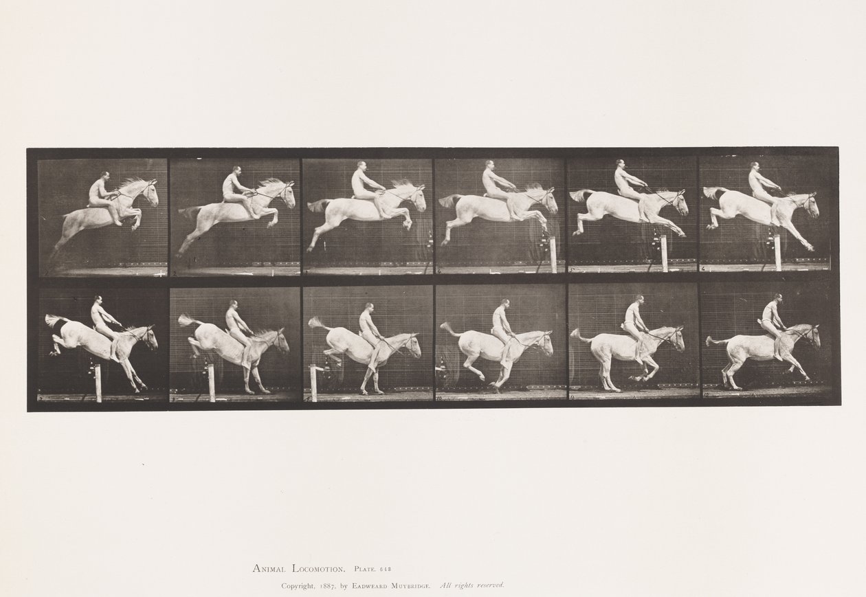 643. tábla.Gátugrás; Csupasz hátú; Elszámolás és leszállás; alkotó: Eadweard Muybridge