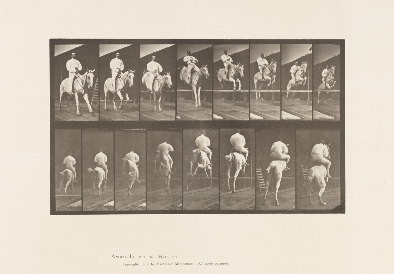 644. tábla Gátugrás; Nyereg; Tisztítás és leszállás alkotó: Eadweard Muybridge