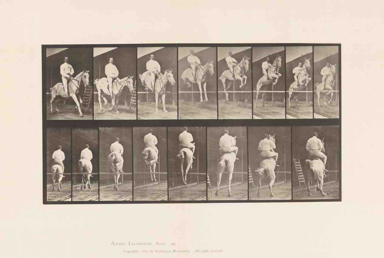 645. tábla.Gátugrás; Nyereg; Tisztítás és leszállás alkotó: Eadweard Muybridge