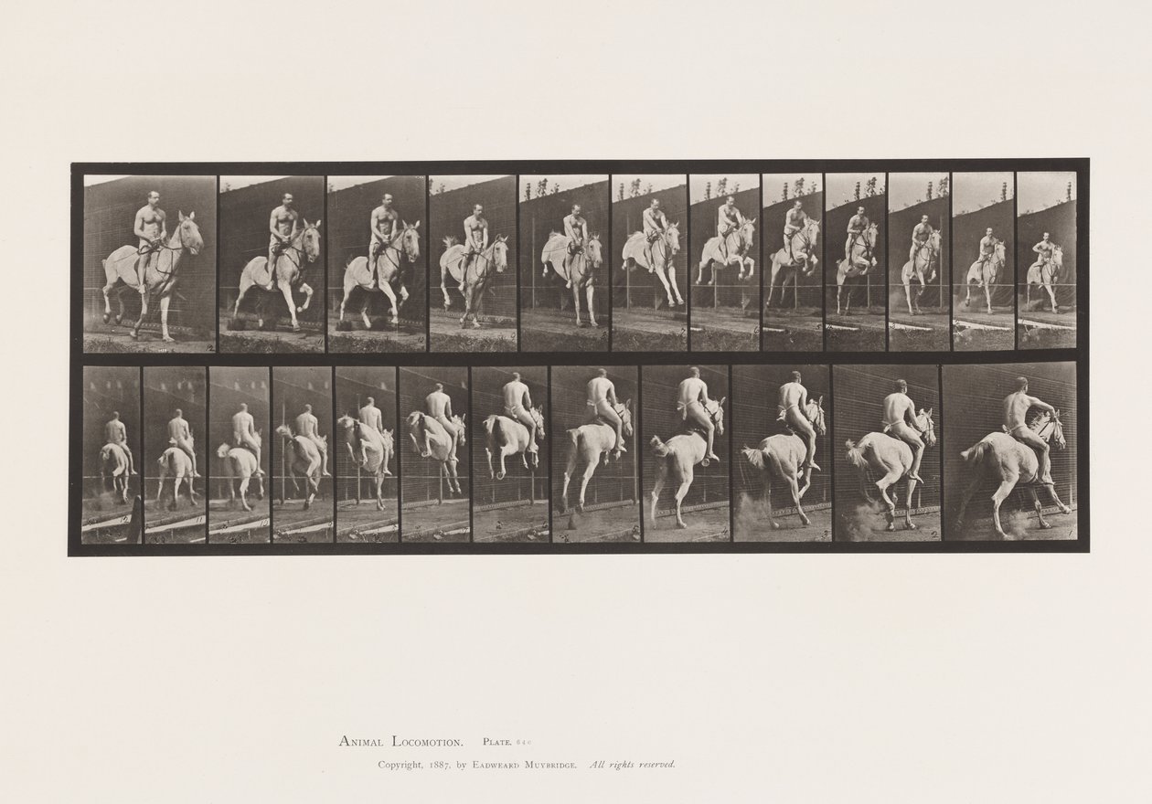 646. tábla.Gátugrás; Nyereg; Rider, 105, akt;, 1885 alkotó: Eadweard Muybridge