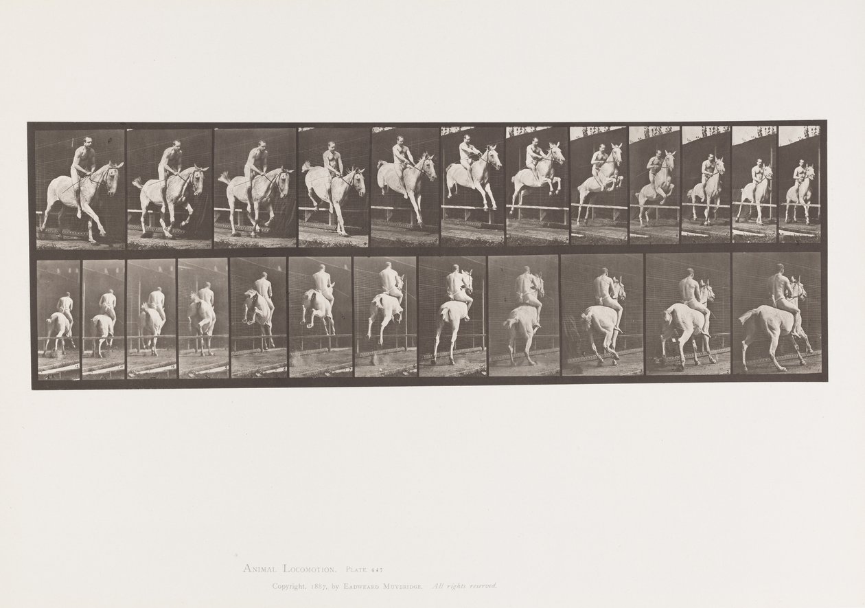 647. tábla Gátugrás; Csupasz hátú; Lovas alkotó: Eadweard Muybridge