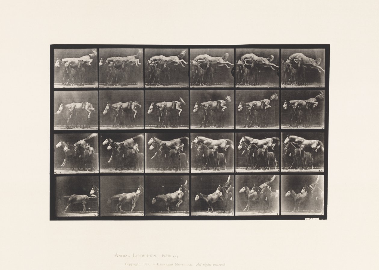 648. tábla Három ló átugrása; A, B; Gesztenye Horse Hornet alkotó: Eadweard Muybridge