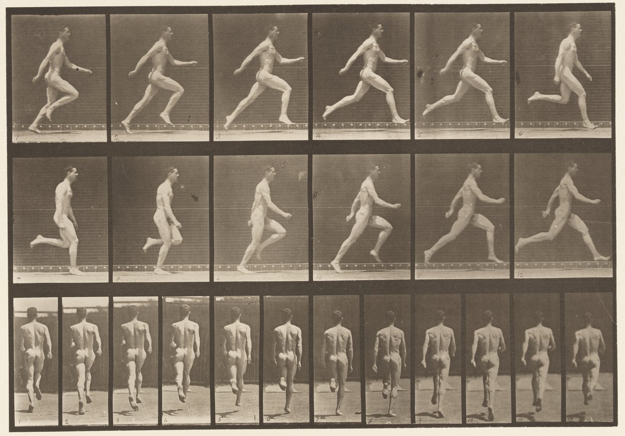 64. tábla. Teljes sebességgel fut alkotó: Eadweard Muybridge